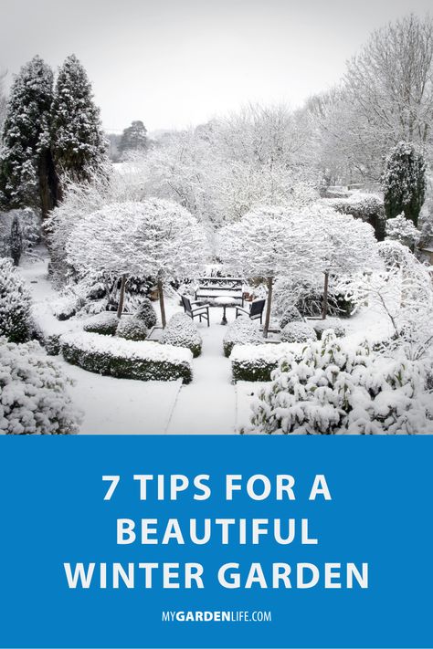 Winter can be tough on your garden but that doesn't mean that it can't be beautiful. Read our latest article and get our 7 Best Tips for a Beautiful Winter Garden by clicking through this pin. Garden In Winter Ideas, Japanese Winter Garden, Winter Garden Interest, Winter Garden Snow, Gardens In Winter, Winter Yard Landscaping, Winter Interest Garden, Winter Garden Aesthetic, Small House Interior Decor