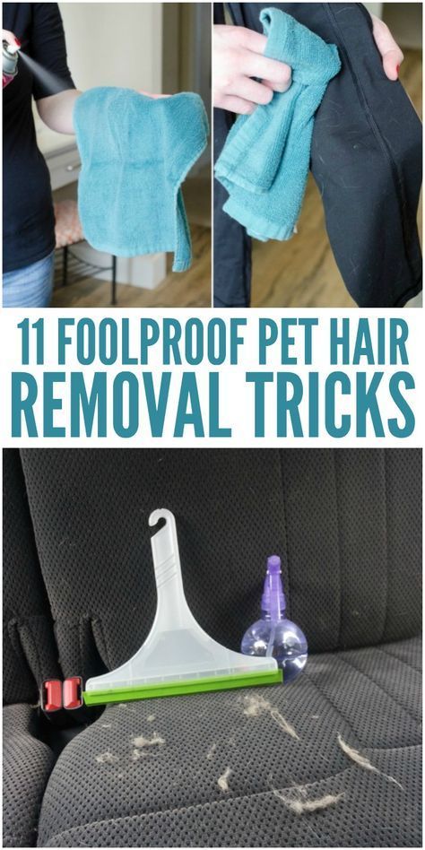 11 Foolproof Pet Hair Removal Tricks You Need to Know How To Get Pet Hair Off Clothes, How To Remove Pet Hair From Furniture, Removing Pet Hair From Furniture, Removing Dog Hair From Furniture, Diy Pet Hair Remover, Diy Dog Bath, Dog Hair Cleaning, Dog Hair Removal, Hair Cleaning