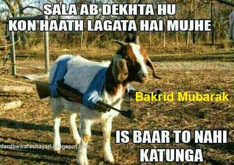 Images OfHappy Bakra Eid Mubarak Funny Eid Mubarak, Bakra Eid Mubarak, Eid Jokes, Facebook Jokes, Military Life Quotes, Eid Quotes, Bakra Eid, Eid Images, Funny Quotes In Urdu