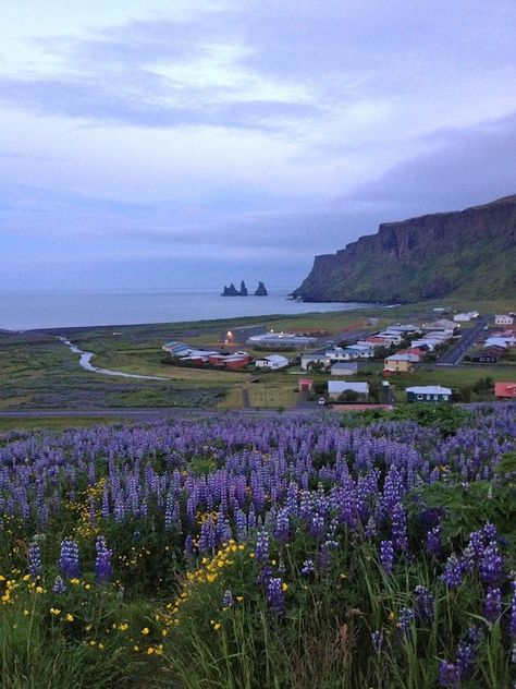 Iceland In Spring, Living In Iceland, Summer In Iceland, Iceland Homes, Iceland Summer Outfit, Iceland Village, Iceland Town, Iceland Countryside, Iceland Vik