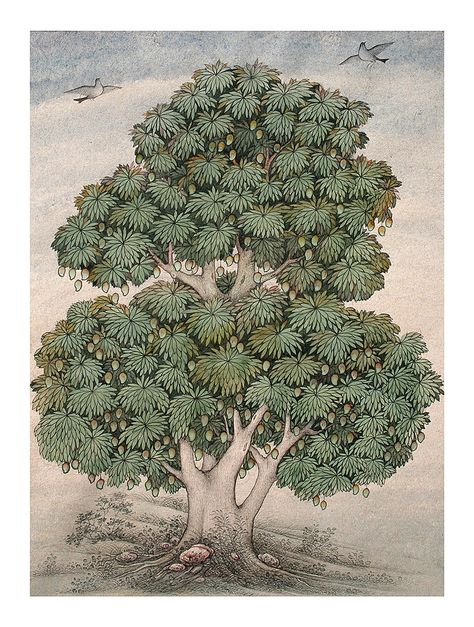 Mango Tree Drawing, Mango Tree Illustration, Kangra Painting, Indian Trees, Palm Tree Sketch, Mughal Miniature Paintings, Indian Traditional Paintings, Persian Art Painting, Mughal Paintings