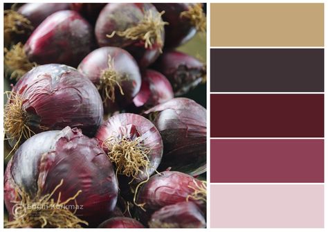 Red Onions color palette by Engin Korkmaz - #color #colour #colors #colours #colorful #colourful #design #inspiration #palette #shabby #chic #shabbychic #pastel #pastelcolors #colorset #colorbook #nature #natural #onion #red #pink #dark #maroon #crimson Onion Color Palette, Sports Snacks, Colour Wheel, Studio Inspiration, Dark Maroon, Colourful Design, Palette Color, Red Onions, Pink Dark