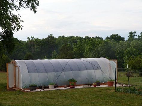 Hoop House, Build A Dog House, Diy Greenhouse Plans, Large Greenhouse, Build A Greenhouse, Home Greenhouse, Backyard Greenhouse, Small Greenhouse, Greenhouse Plans