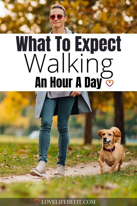 walking an hour a day Loose Weight In A Week, Walking Routine, Walking Program, Walking Everyday, Walking Plan, Benefits Of Walking, Walking Exercise, Lose 40 Pounds, Lose 50 Pounds