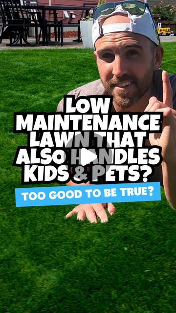 Chris Kanan on Instagram: "LOW MAINTENANCE LAWN WITH DOGS 🐶& KIDS ⚽️!? ⤵️

One of my FAQ’s: I want a nice lawn, but DOGS….HELP! 😭

This grass type handles great with high TRAFFIC, DROUGHT, and is LOW MAINTENANCE! 

RESILIENCE II TURF TYPE TALL FESCUE 👏🏻
☀️ | Thrives in FULL SUN
🌳 | Handles well in SHADY environments 
🥵 | DROUGHT tolerant 
🏃🏻‍♂️ | TRAFFIC tolerant (great for DOGS and KIDS)
🛠️ | LOW MAINTENANCE 
📍 | Great option for COOL SEASON and TRANSITION zones 

BLUE RESILIENCE is the same with added Kentucky Bluegrass for some added self repair qualities, which makes it another great option for yards with pets, kids, and high traffic. 

📚 | Download my FREE guide “What Grass is BEST for Me!?” for all my recommendations on what seed is best for you, your local environment, an Tall Fescue Grass Lawn, Fescue Grass Lawn, Dog Yard Landscaping, Low Maintenance Lawn, Tall Fescue Lawn, Tall Fescue Grass, Grass Alternative, Tall Fescue, Growing Grass