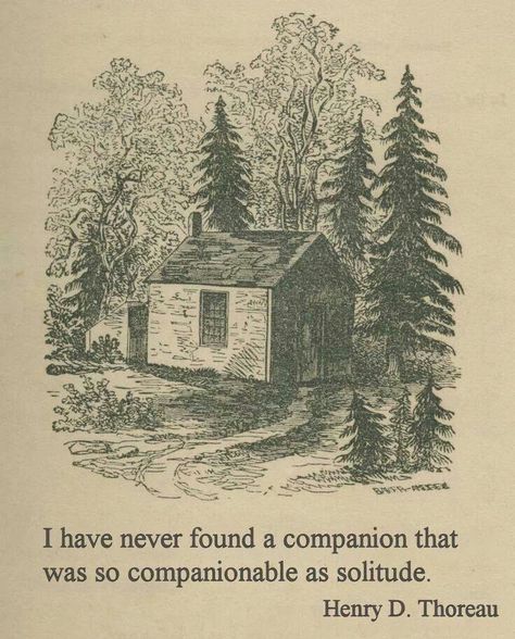 Solitude. + and - Yes, solitude is necessary for some individuals to tap into their creativity, but too much of it can be a bad thing. To be creative, it is essential (at least for the majority) to interact with others. Wood Quotes, Henry David Thoreau Quotes, Walden Pond, Thoreau Quotes, A Cabin In The Woods, Into The Woods Quotes, Quotes Thoughts, Henry David Thoreau, Life Quotes Love