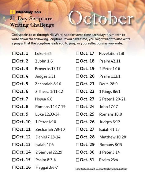 December Prayer Challenge, December Bible Challenge, December Writing Challenge, Daily Bible Reading Plan For Beginners, December Scripture Writing Plan, 2025 Challenge, Bible Decorations, Bible Marriage, Scripture Plans