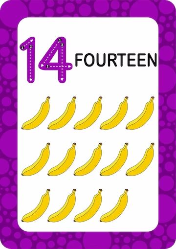 Premium Vector | Vector numbers flashcards number fourteen educational math card for children learn counting numbers Free Number Flashcards Printable Free 1-20, Number Flashcards Printable Free 1-20, Preschool Number Cards, Number Preschool, Shapes Preschool Printables, Numbers Preschool Printables, Math Number Cards, Kids Learning Numbers, Numbers Flashcards