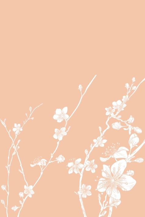 Colorful Wall Prints, College Walls, Edit Wallpaper, Peach Wallpaper, Peach Colour, Wallpaper Photos, Theme Background, Peach Flowers, Wall Gallery