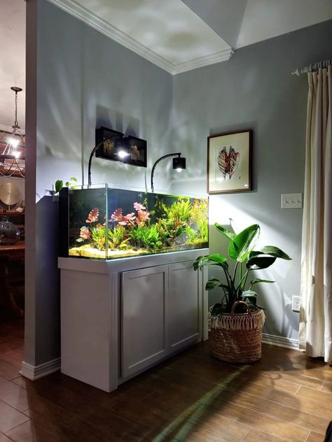 Big Fish Tanks Living Rooms, Fishtank Ideas Furniture, Large Fish Tank Ideas Living Rooms, Fish Tank Ideas Living Room, Aquarium Fish Tank Living Rooms, Large Fish Tank Ideas, Fish Tank Display, Aquarium Living Room, Modern Fish Tank