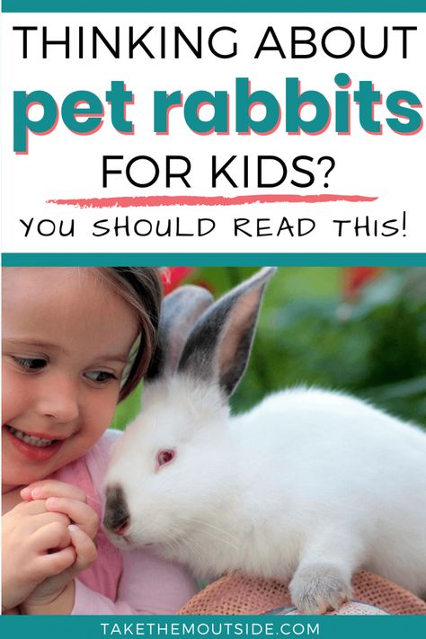 Tips for getting a pet rabbit for your kids. Read these bunny care tips, considerations, and reasons why bunnies make good starter pets for a family wanting to care for animals. #petrabbit #petsforkids #petbunny Good Pets For Kids, Homestead Rabbits, Pets For Kids, American Fuzzy Lop, Best Pets For Kids, Bunny Care Tips, 4h Projects, Outdoor Rabbit Hutch, Pet Rabbit Care