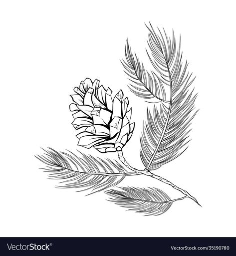 Spruce Branch Tattoo, Pinecone Tattoo, Tree Branch Tattoo, Pine Tree Branch, Leaves Sketch, Fir Cones, Vector Line Art, White Pine Tree, Sparrow Tattoo