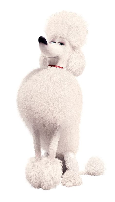 Leonard is a dog from The Secret Life of Pets. Poodle Wallpaper Iphone, Life Of Pets Birthday Party, Poodle Wallpaper, Puppy Wallpaper Iphone, Pets Birthday Party, Poodle Training, Dog Wallpaper Iphone, Pets Wallpaper, Pets Movie