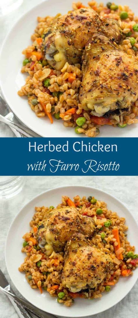 Creamy Farro, Chicken Farro, Farro Risotto, Herbed Chicken, Farro Recipes, Healthy Pasta, Savory Herb, Recipes For, Herb Chicken