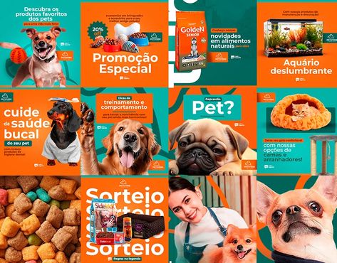 Social Media: Instagram Feed :: Behance Pet Food Social Media Design, Pet Poster Design, Pet Branding, Digital Advertising Design, Social Media Branding Design, Social Media Work, Medical Design, App Design Inspiration, Instagram Layout