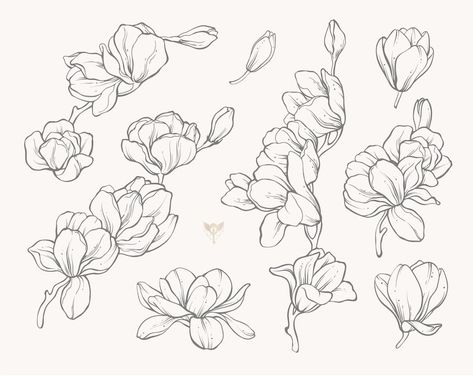 Watercolor Whimsy, Tattoos Flowers, Floral Drawings, Magnolia Tattoo, Bridal Cookies, Drawing Patterns, Idea Tattoo, Line Art Flowers, Floral Line Art