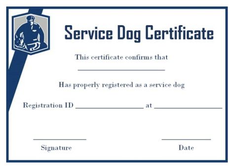 Dog Certificate, Simple Resume Examples, Dog Template, Tooth Fairy Certificate, Service Template, Free Certificate Templates, Teacher Certification, Training Certificate, Job Resume Examples