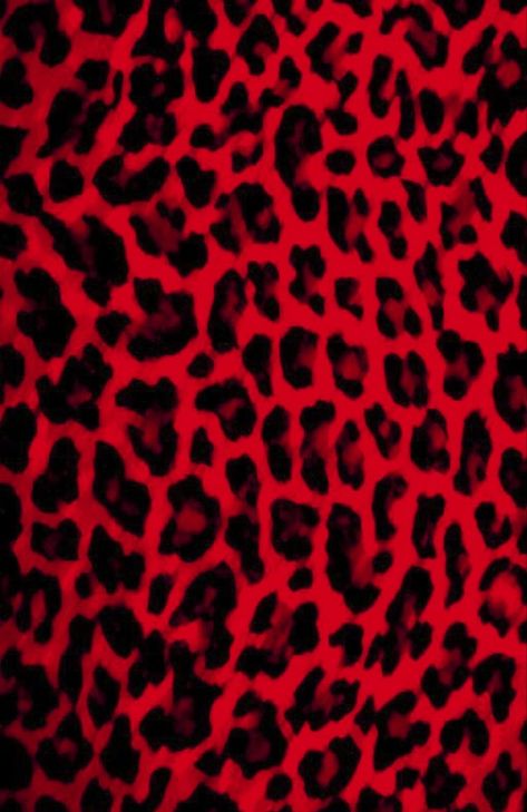 Trashy Y2k Wallpaper, Mall Goth Wallpaper, Y2k Wallpaper Aesthetic, Pink Black Wallpaper, Decorate Front Porch, Emo Backgrounds, Black Wallpaper Aesthetic, 2000s Wallpaper, Leopard Print Background