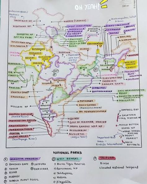 UPSC CLEAR®️ on Instagram: “National Parks of India 🌿🌳 Practise in Map 🌎 Swipe left 👉👉👉 Whatsapp - 8368257321 Read carefully👇 Whatsapp Paid Group for 2022/2023/2024…” Indian Geography Notes In English, Ssc Chsl Notes In English, Upsc Study, Basic Geography, Exam Preparation Tips, Upsc Notes, Ias Study Material, What To Study, Exam Study Tips