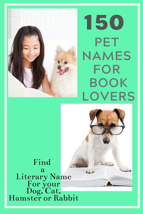 150 Literary Pet Names  #PetNames #DogNames #CatNames #PetNamesForBookLovers #LiteraryPetNames #PetNamesFromBooks Literary Names, Best Dog Names, Best Books List, Adoption Photos, Healthy Swaps, Group Of Dogs, Dog Books, Pet Name, Dog Blog