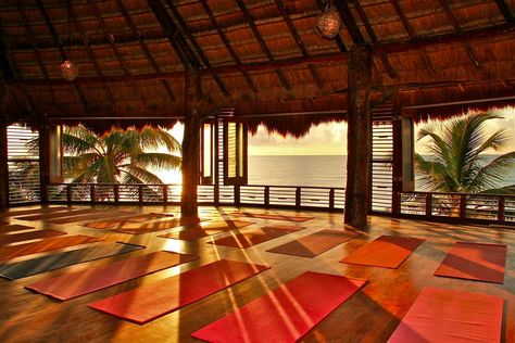 AMANSALA ECO CHIC RESORT RETREAT $195 ($̶2̶6̶5̶) - Updated 2020 Prices & Reviews - Tulum, Mexico - Tripadvisor Yoga Spaces, Best Yoga Retreats, Yoga Shala, Ashtanga Vinyasa Yoga, Yoga Ashtanga, Full Schedule, Wellness Resort, Mayan Riviera, Yoga Studios