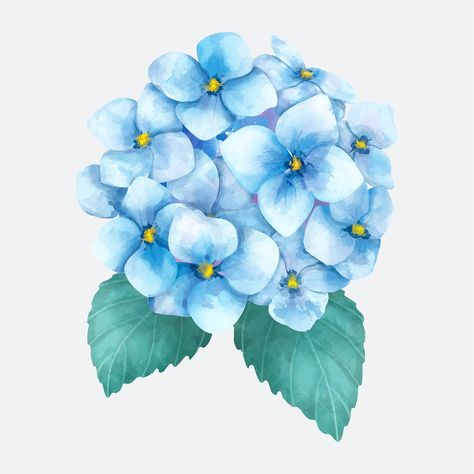 Flower hydrangea drawing vector botanical clipart | free image by rawpixel.com / busbus Hydrangea Drawing, Blue Hortensia, Flower Vector Art, Flower Hydrangea, Modern Watercolor Art, Flower Png Images, Watercolor Hydrangea, Watercolor Flower Background, Hydrangea Not Blooming