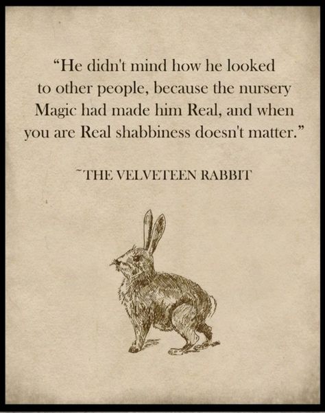 The Velveteen Rabbit Quotes, Healer Quotes, Fav Poetry, Velveteen Rabbit, Smart Quotes, Proverbs Quotes, Illustration Quotes, Different Quotes, Literary Quotes