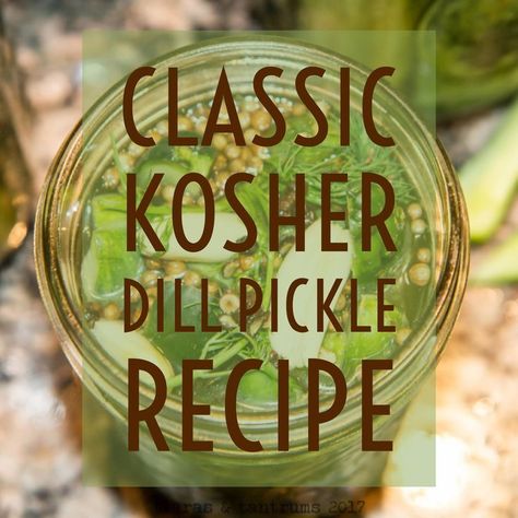 The Ultimate Classic Kosher Dill Pickle Recipe Kosher Dill Pickle Recipe, Picked Eggs, Pickling Crock, Pickle Party, Kosher Pickles, Homemade Pickles Dill, Kosher Dill Pickles, Pickle Recipes Homemade, Dill Pickle Recipe