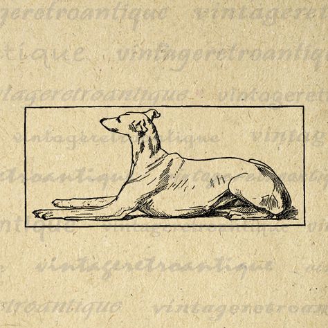 Burlap Background, Greyhound Art, Greyhound Dog, Grey Hound Dog, Antique Illustration, Images Vintage, Dog Images, Digital Graphics, Graphic Image