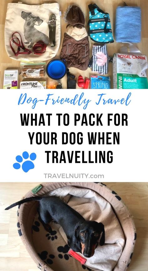 Heading off travelling with your dog? Make sure you keep your dog comfortable and happy, by using this dog travel packing list. Dog Travel Essentials Road Trips, Dog Travel Bag Essentials, Travel With A Dog, Dog Packing List Road Trips, Travelling With Dog, Traveling With Your Dog, Roadtrip With Dog, Travel With Pets, Traveling With Dog