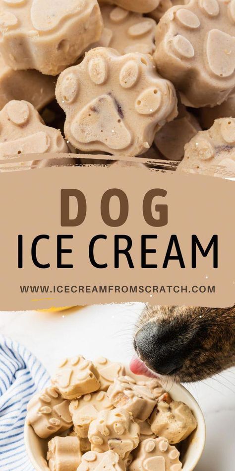 #HealthyFoodHabits Dog Ice Cream Recipe, Ice Cream From Scratch, I Lost 100 Pounds, Pet Treats Recipes, Dog Treats Homemade Easy, Easy Dog Treat Recipes, Frozen Dog Treats, Dog Ice Cream, Dog Biscuit Recipes