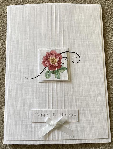 Cards By Shayne Eddie, Shayne Eddie Cards, Shayne Eddie, Cas Cards, Make Your Own Card, Window Cards, Birthday Cards For Women, Card Inspiration, Simple Cards