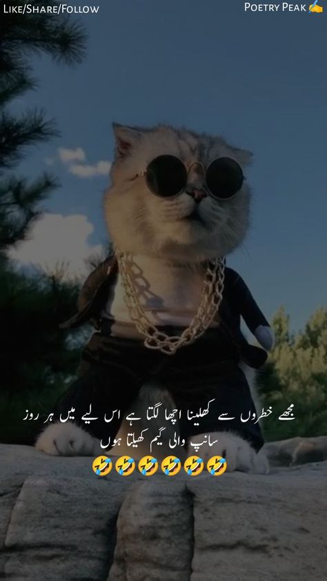 Funny Poetry in Urdu|| Urdu Funny poetry jokes || by Poetry Peak
#fuunypoetry #urdupoetry #urdufunnypoetry #poetryfunnyurdu #jokes #funny jokes #funnyquotes #funnysher #sher Urdu Funny Poetry Pictures, Funny Memes In Urdu, Urdu Funny Poetry Jokes, Funny Posts In Urdu, Funny Quotes In Urdu Jokes, Memes In Urdu, Funny Quotes Urdu, Funny Urdu Quotes, Funny Urdu Jokes