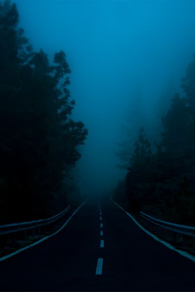 Foggy Road, End Of The Road, In The Middle, The Middle, The Road, Trees, Road, Blue