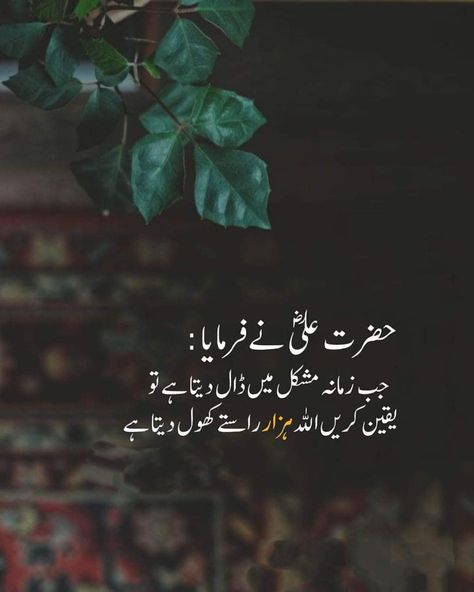 Hazrat Ali R.A Quote 📝📚 Aala Hazrat Quotes, Aala Hazrat, Android Wallpaper Blue, Words Of Wisdom Quotes, Hazrat Ali, Ali Quotes, Snap Quotes, Girly Pictures, Urdu Quotes