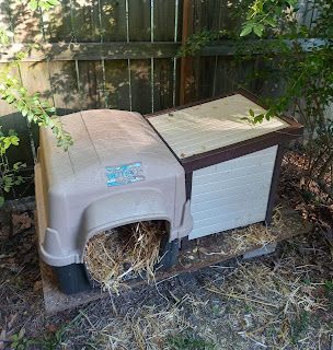 Insulated Cat House Outdoor Diy, Diy Warm Cat House Winter, Cat Shelters For Winter How To Make, Diy Insulated Cat House Winter, Diy Insulated Dog House Winter, Cat House Outdoor Winter, Outdoor Cat House Diy, Diy Outdoor Insulated Cat Shelter, Cheap Insulation