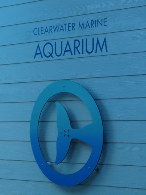 Clearwater Marine Aquarium in Clearwater, Florida Clearwater Aquarium, Marine Veterinarian Aesthetic, Marine Bio Aesthetic, Marine Biology Aesthetic Lab, Clearwater Aquarium Florida, Marine Biology Jobs, Ocean Jobs Marine Biology, Clearwater Marine Aquarium, University Of Tampa