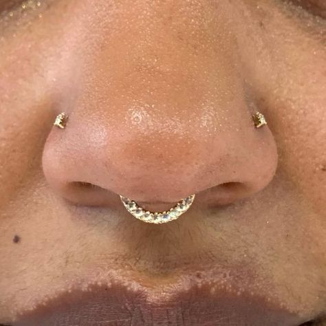 Nostrils And Septum Piercing, Septum With Nose Piercing, Two Nose Piercings And Septum, Two Stud Nose Piercing, Both Nostrils Pierced With Septum, Gold Piercings Nose, Nose Piercing With Septum, Gold Face Piercings, Both Nostrils Pierced