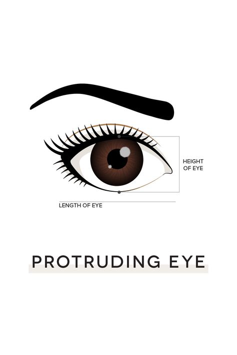 The protruding eye shape is defined by the height of the eye and length of the eye. How to Style: We suggest using a D-Curl and shorter lash lengths to give the appearance of smaller eyes. Lash Lengths, Protruding Eyes, Lash Design, Lash Mapping, Short Lashes, Lash Business, Lash Primer, Lash Tech, Edgy Makeup