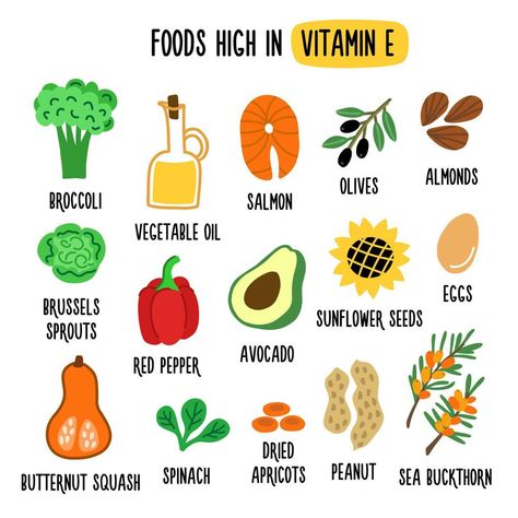 Foods high in vitamin E. Source of vitamin E. Flat vector cartoon illustration. Fruits, vegetables, nuts, oil and fish. Healthy lifestyle and diet Vitamins For Heart Health, Salmon Vegetables, Benefits Of Vitamin E, Fortified Cereals, Food Cartoon, Health Vitamins, Vector Cartoon, Food Source, Nutrition Information