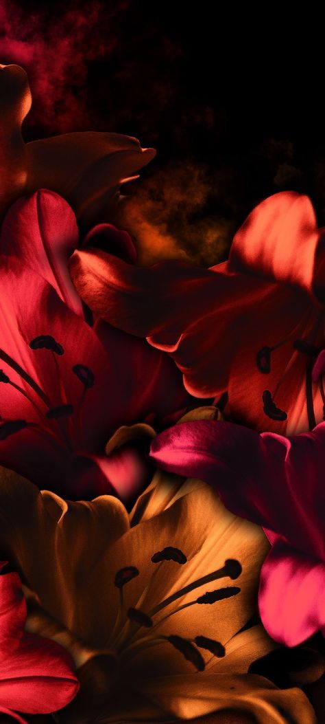 Dark Red And Pink Aesthetic, Earthy Desktop Wallpaper, Red Wallpaper Flower, Dark Feminine Aesthetic Wallpaper Hd, Sade Aesthetic Wallpaper, For Computer Wallpaper, Aesthetic Orange Wallpaper, Red Phone Wallpaper, Background Images Red