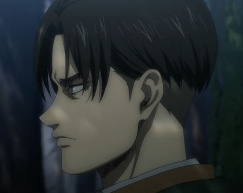 Eren Side Profile, Levi Side Profile, Captain Levi, Attack On Titan Levi, Japanese Cartoon, Side Profile, Levi Ackerman, Character Modeling, Anime Stuff