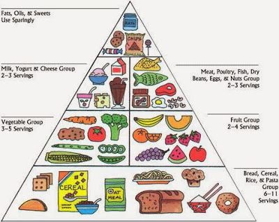 The old food pyramid Paleo Food Pyramid, Food Pyramid Kids, Study Food, Nutrition Pyramid, Different Foods, Nutrition Guidelines, Nutrition Sportive, Food Pyramid, Keto Foods