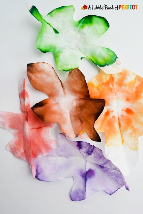 Autumn Leaves STEAM Absorption Art and Free Template - Science Experiments Preschool, Preschool Leaves Activities, Absorption Art, Experiments Preschool, Popcorn Craft, Leaf Science, Free Craft Templates, Capillary Action, Easy Kid Activities