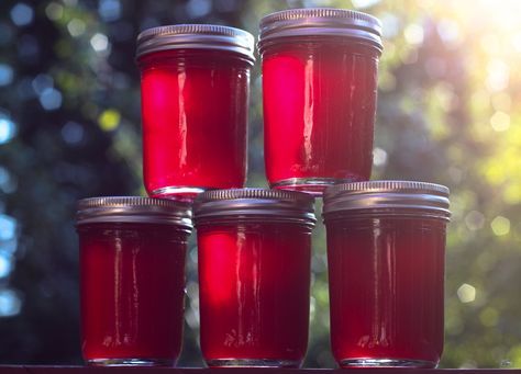 Plum Jelly (Here is what you do with all those plums in the yard....) SUPER NUMMY! Plum Preserves, Pomegranate Jelly, Over The Kitchen Sink, Summer Fruit Recipes, Canning Jam Recipes, Canning Vegetables, Canning Jam, Homemade Jelly, Plum Jam