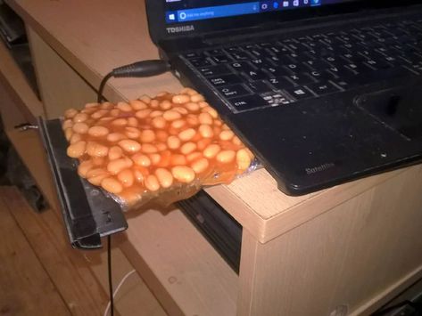 Things Full of Beans That Shouldn’t Be Full of Beans Cursed Wallpaper, Cursed Food, Beans Image, Funny Animals Pictures, Cursed Image, Beans Beans, Cursed Memes, Funny Pictures With Captions, Image Memes