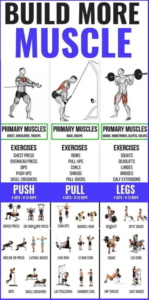 Push Pull Workout Routine, Push Pull Legs Workout, Leg Workout Plan, Push Day Workout, Pull Workout, Push Pull Workout, Pull Day Workout, Yoga Ideas, Push Pull Legs