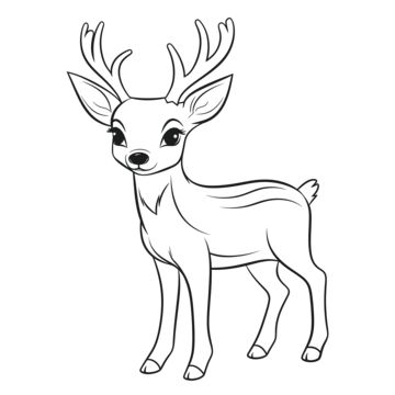 deer drawing,wing drawing,ring drawing,color drawing,deer pictures drawing,deer pictures outline,deer pictures sketch,deer pictures coloring page,deer pictures outline art,deer pictures coloring book,deer pictures black and white,deer pictures line art,outline,sketch,line drawing,line art,coloring page,outline art,children s coloring page,thick lines,coloring book,black and white,head,sleeve,gesture,fawn,terrestrial animal,deer,art,font,tail,snout Deer Pictures Drawing, Deer Outline Drawing, Deer Drawing Cute, How To Draw A Deer, Deer Drawing Sketches, Animal Outline Drawing, Cute Deer Drawing, Bambi Coloring Pages, Fawn Drawing