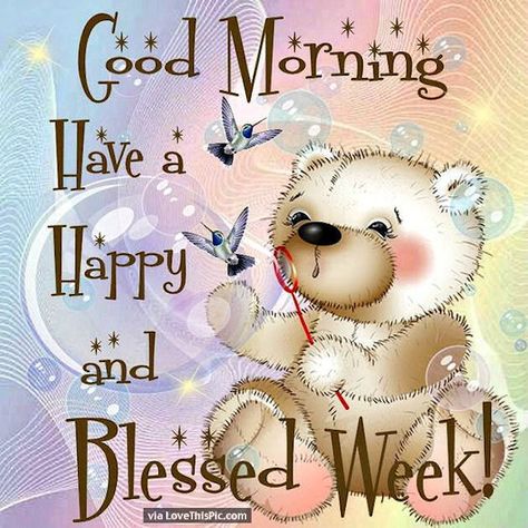 Have A Blessed Week, Daily Wishes, Good Monday Morning, Blessed Week, Quotes Morning, Funny Good Morning Quotes, Daily Blessings, Good Day Quotes, Morning Greetings Quotes