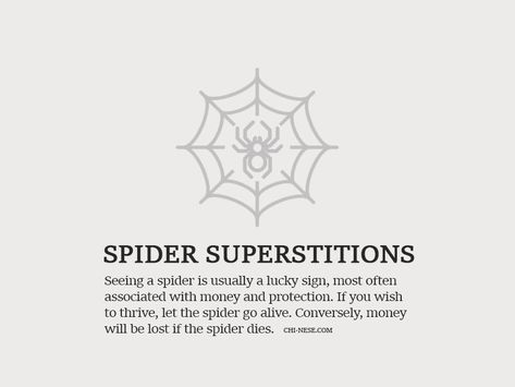 Spider Superstitions and Hidden Symbolism #spider #magic #superstitions #superstition Spider Symbolism, Patience Tattoo, Spiritual Animals, Animal Meanings, Lucky Sign, Old Wives Tale, Myths & Monsters, Water Witch, Wives Tales